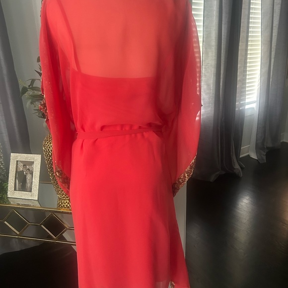 Chic Coral Sheer Dress with Gold Accents - Picture 3 of 4